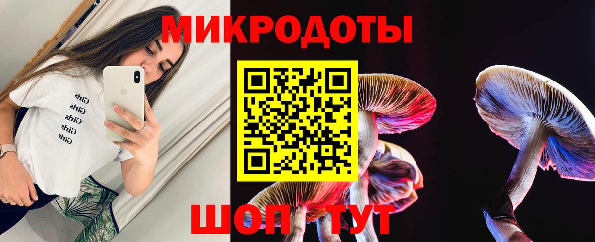 Галлюциногенные грибы GOLDEN TEACHER  Галлюциногенные грибы ЛСД  Вход с VPN  Мурманск 